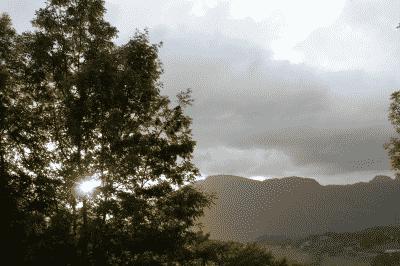 picture:./albums/./2009_2010_ Various photos/IMG_1515.jpg