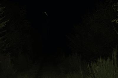 picture:./albums/./2011_ Scotland Gight Castle/Day4_IMG_2092.jpg