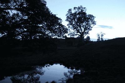 picture:./albums/2011_ Scotland Gight Castle/Day4_IMG_2065.jpg