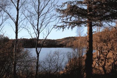 picture:./albums/2012_ April 8/.././Random_Photos/IMG_5992.JPG