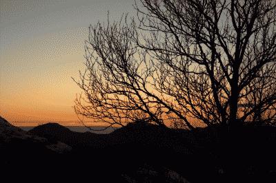 picture:./albums/2012_ April 8/../2012_ April 8/img_3764.jpg