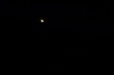 picture:./albums/2012_ April 8/../2019_MoonEclipse/IMG_6565.JPG