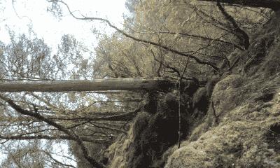 picture:./albums/2012_ April 8/../Misc/20180514_211957.jpg