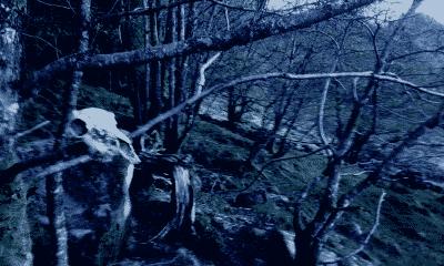 picture:./albums/2012_ April 8/../Misc/20180514_221126.jpg