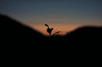 picture:./albums/2012_ April 8/../Misc3/../Misc2/IMG_4986.JPG