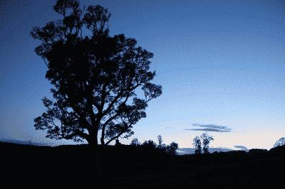 picture:./albums/2013_ May 3/../2011_ Scotland Gight Castle/Day4_IMG_2057.jpg