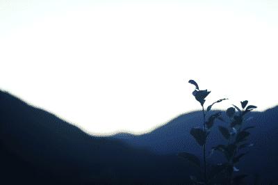 picture:./albums/2013_ May 3/../Misc2/IMG_4978.JPG