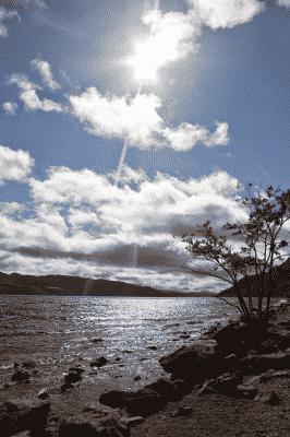 picture:./albums/Misc2/./../2012_2013_ Various pictures/IMG_6433.jpg