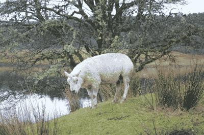 picture:./albums/Misc2/./../Scotland/Scotland2017/IMG_4292.JPG