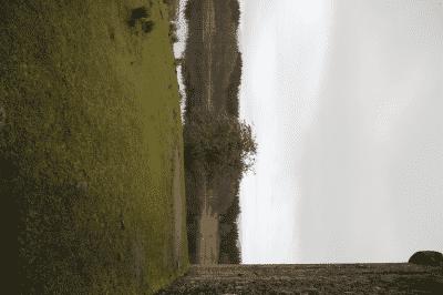 picture:./albums/Misc2/./../Scotland/Scotland2017/IMG_4298.JPG