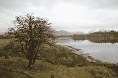picture:./albums/Misc2/./../Scotland/Scotland2017/IMG_4301.JPG
