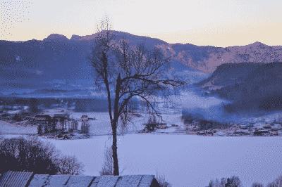 picture:./albums/Misc2/../2012_2013_ Various pictures/IMG_7771(1).jpg