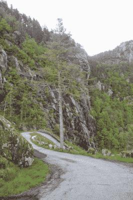 picture:./albums/Misc2/../2012_2013_ Various pictures/IMG_8331.jpg