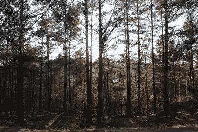 picture:./albums/Misc3/../2016_ Random photos/IMG_3113.jpg