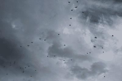 picture:./albums/Scotland/../2012_2013_ Various pictures/IMG_5731.jpg