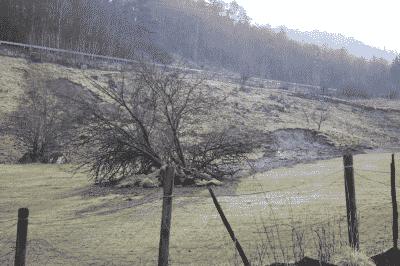 picture:./albums/Scotland/../2013_ May 3/IMG_8112.jpg