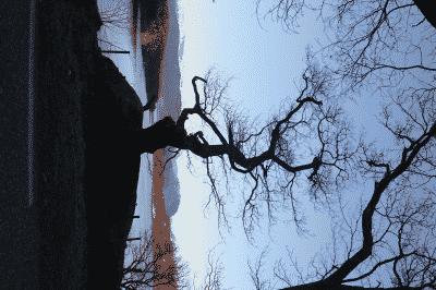 picture:./albums/Scotland/../2016_ Random photos/IMG_3123.jpg