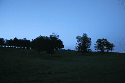 picture:./albums/Scotland/Scotland2011/Day7_2_Edinburgh/../Day4_3_GightCastle/Day4_IMG_2031.JPG